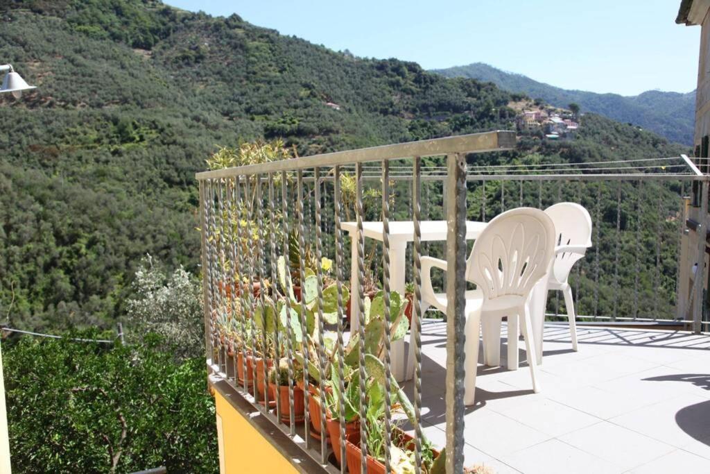 Le Case Della Lizza - Casa Verde Levanto Exterior foto